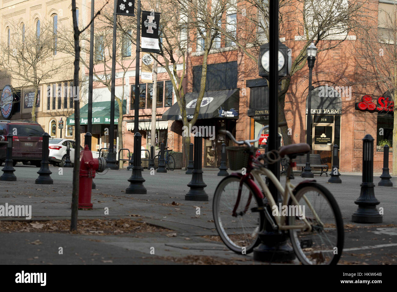Moscow, Idaho, USA. 17th Nov, 2016. Moscow Idaho is home to the