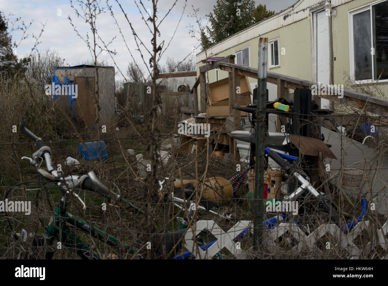 Moscow, Idaho, USA. 17th Nov, 2016. The owners of Syringa have started
