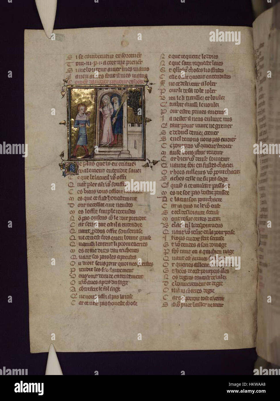 A page from the 'Le Roman de la Rose' manuscript, held in the Bodleian ...
