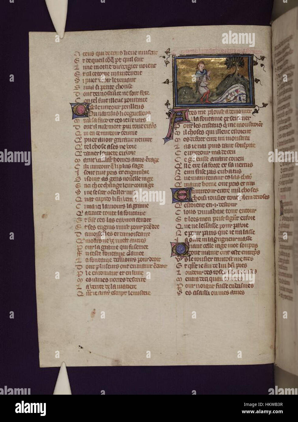 The 'Le Roman de la Rose' manuscript, housed in the Bodleian Libraries ...