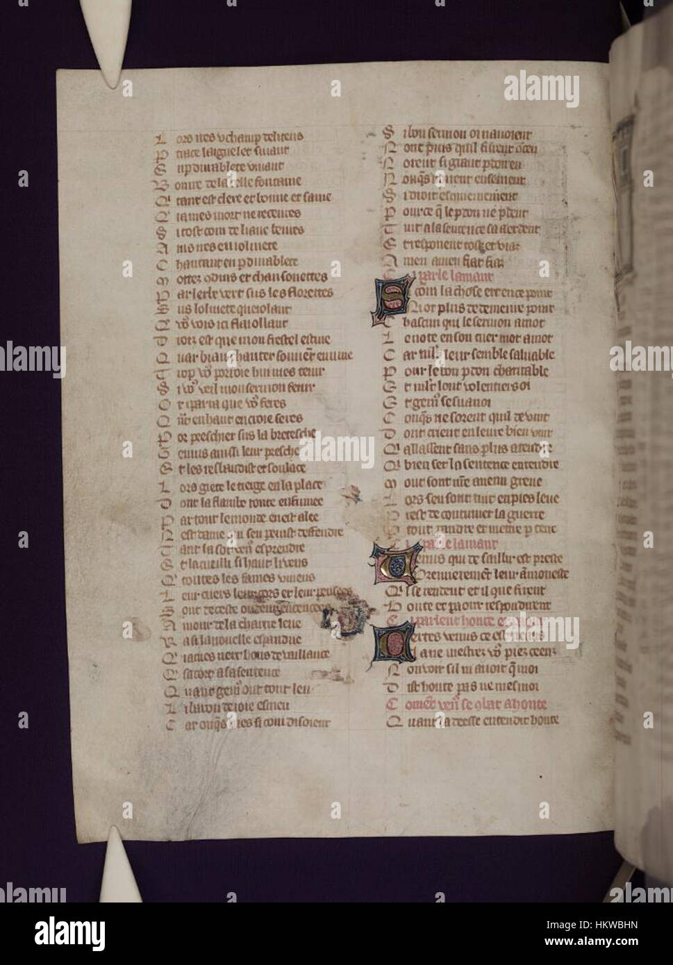 A Page From Le Roman De La Rose 145v Held In The Bodleian a-page-from-le-roman-de-la-rose-145v-held-in-the-bodleian