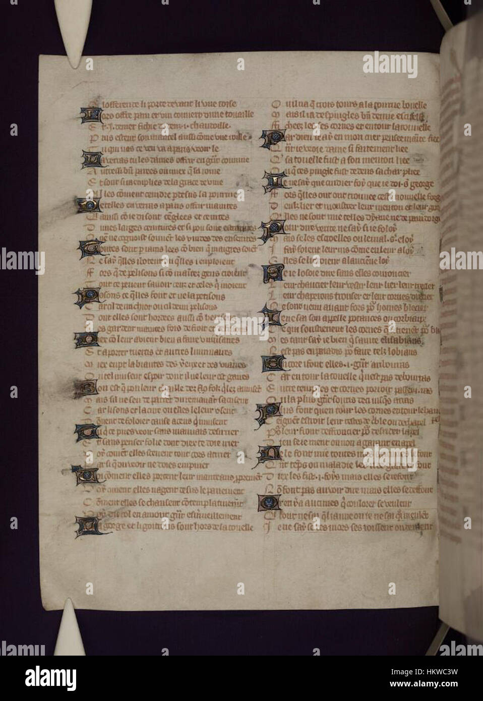 Roman Pdf Library Le Roman de la Rose, housed in the Bodleian Libraries, is a 13th ...