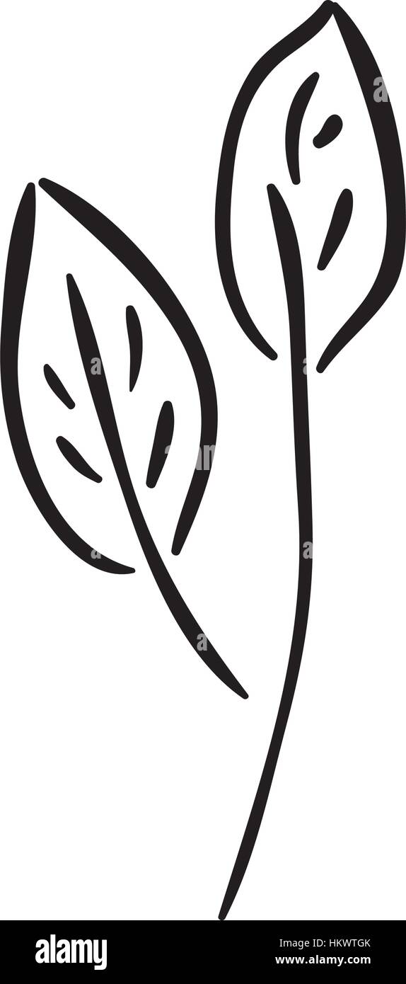 Ramifications vector vectors hi-res stock photography and images - Alamy