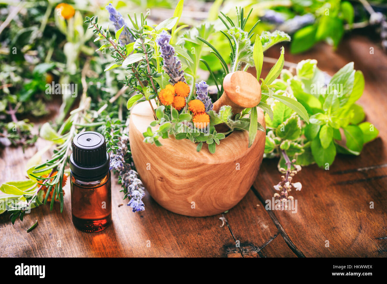 Variety of fresh herbs and mortar on a wooden background Stock Photo
