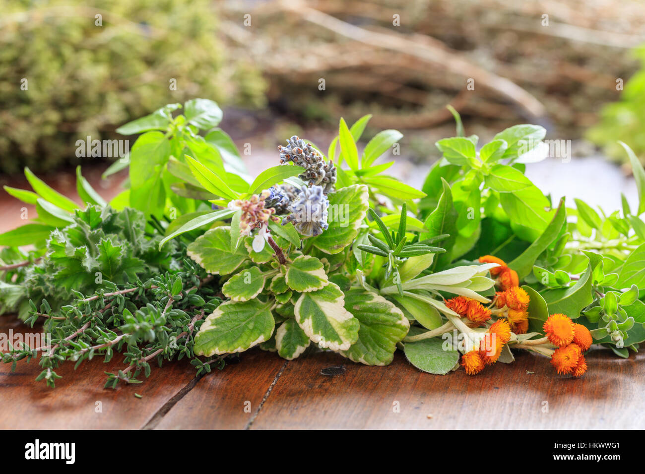 Variety of fresh herbs on wooden background Stock Photo Alamy