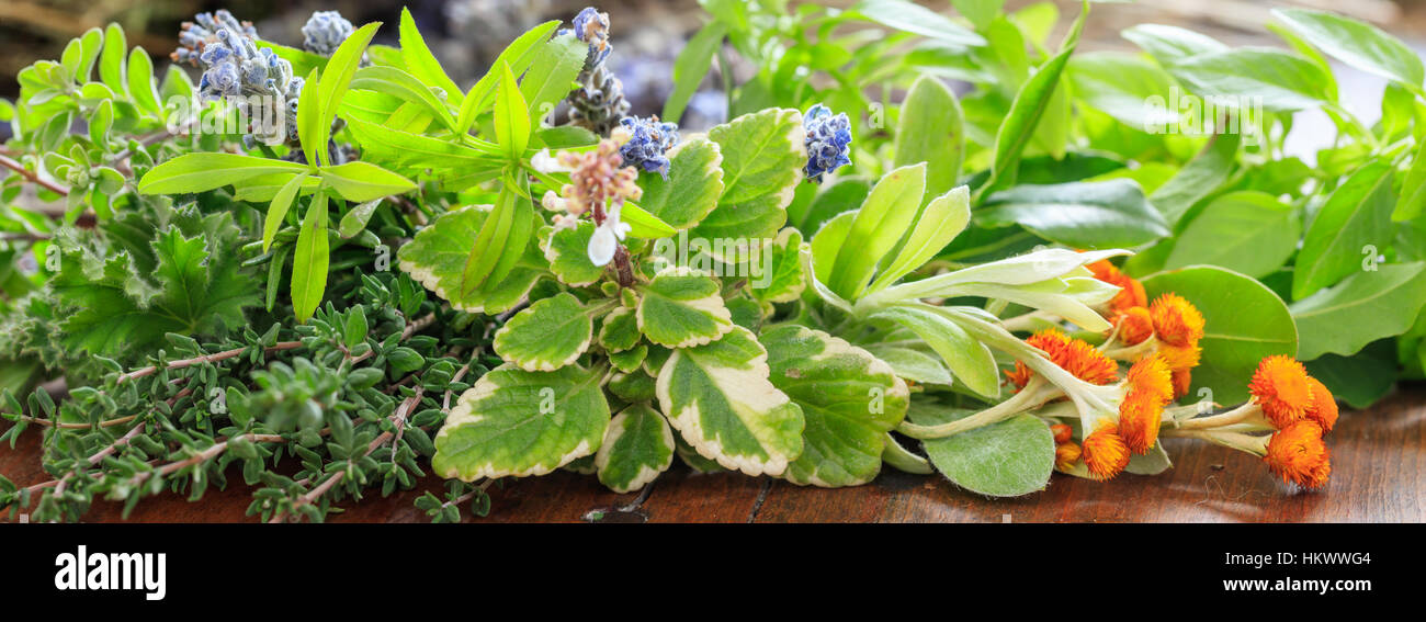 Variety of fresh herbs on wooden background Stock Photo Alamy