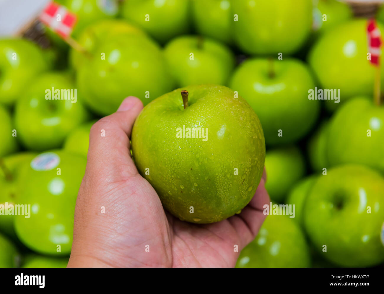 Apples For Losing Weight at Christine Robinson blog