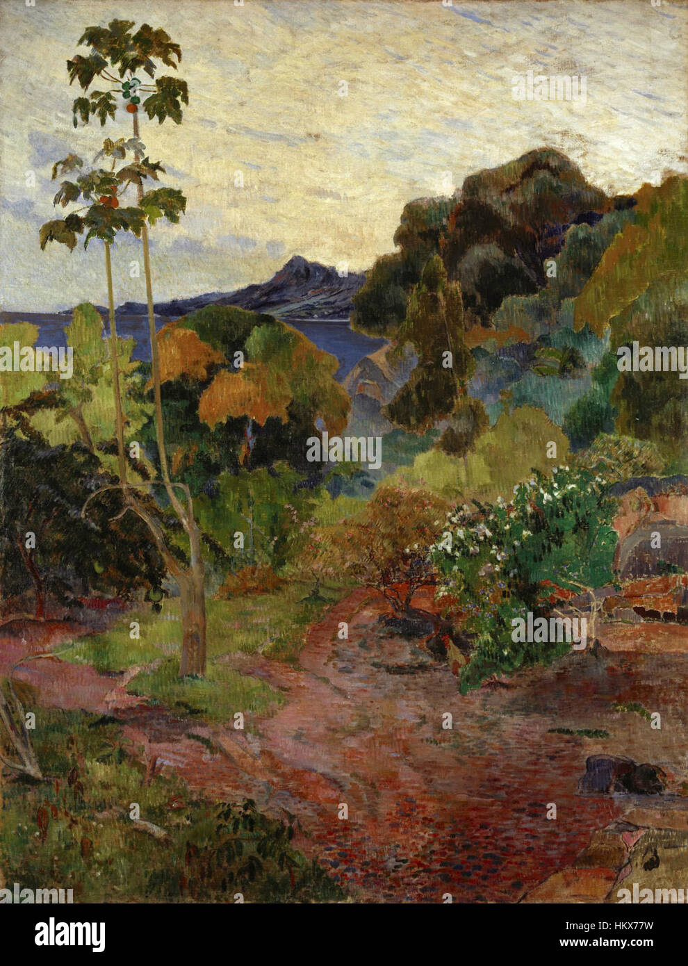 Gauguin martinique hi-res stock photography and images - Alamy