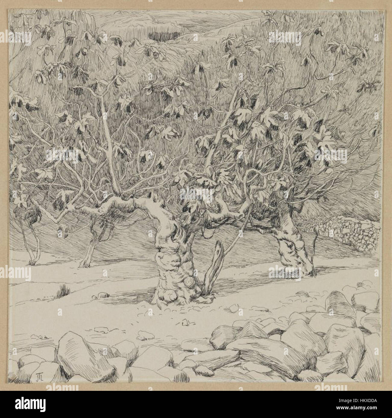 Brooklyn Museum Figtree Valley of Hinnom James Tissot Stock Photo
