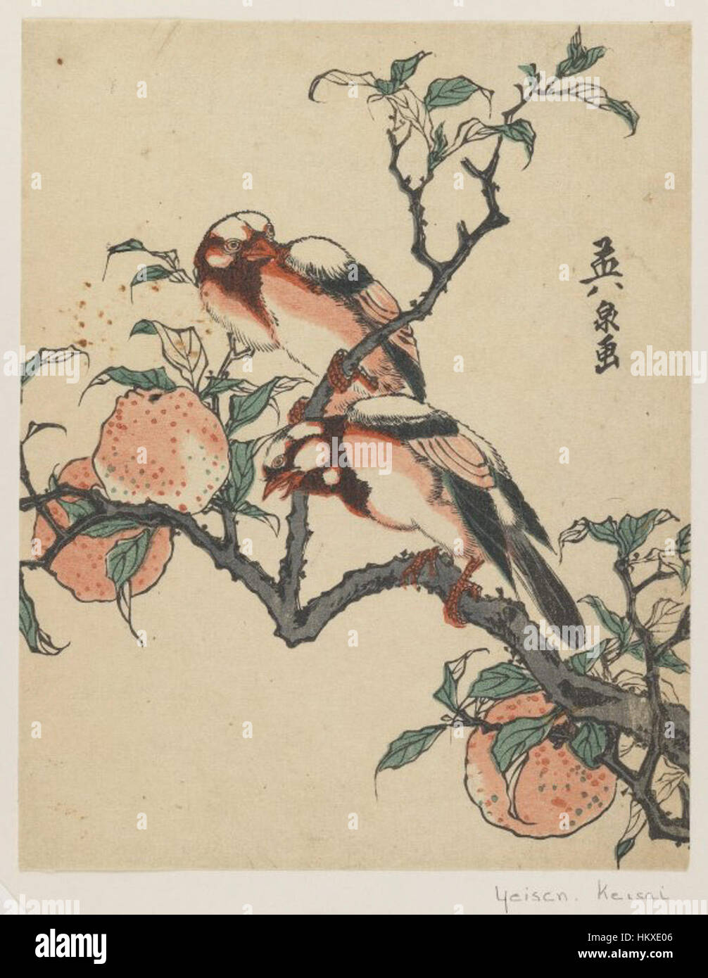 Japanese woodblock bird hi-res stock photography and images