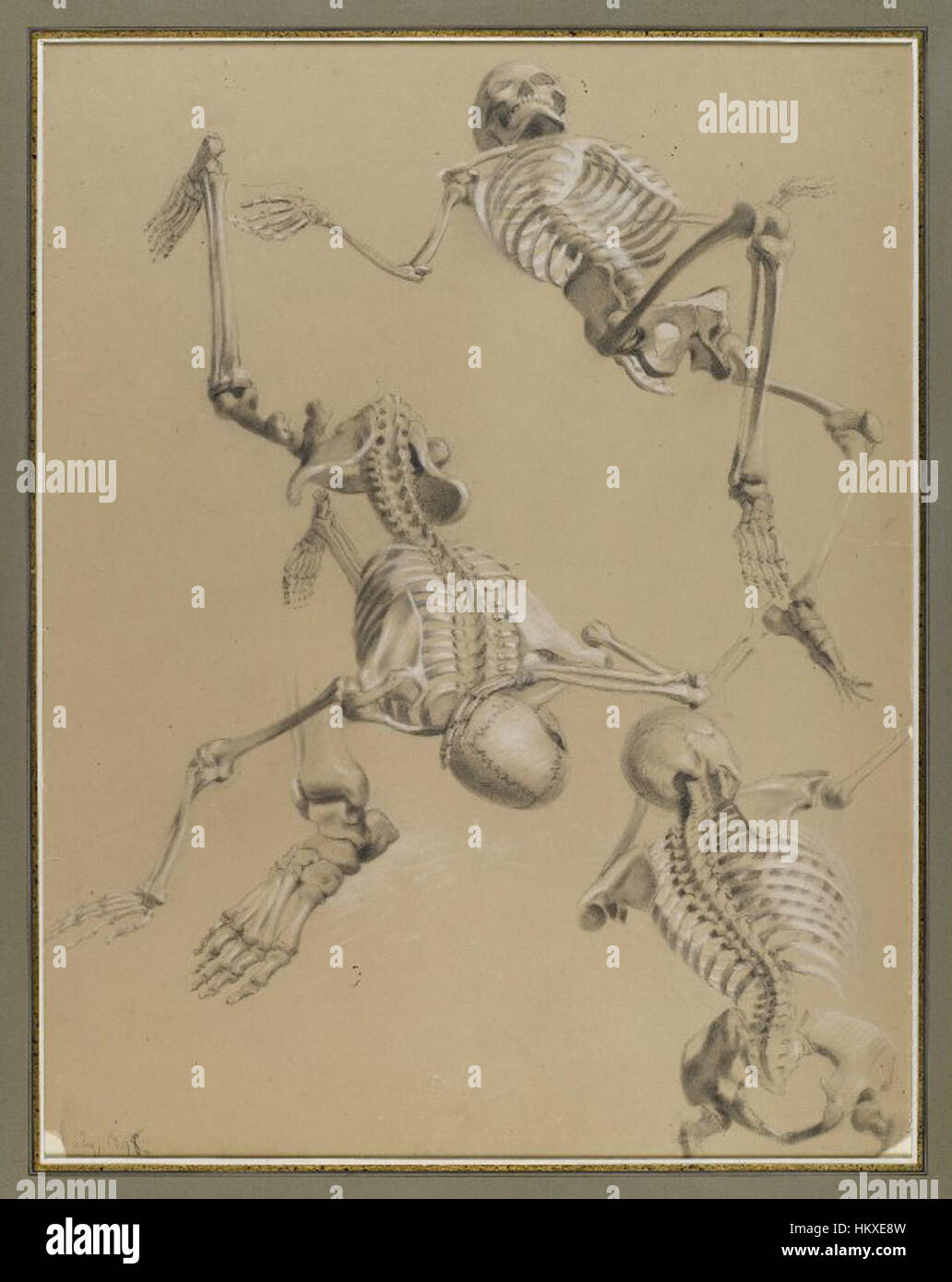 Brooklyn Museum - Study of Skeletons - Daniel Huntington Stock Photo