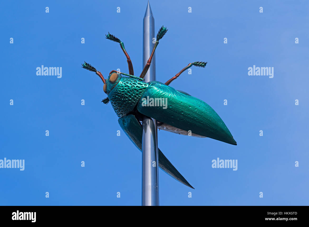 Totem beetle statue Ladeuzeplein Leuven Belgium Stock Photo - Alamy