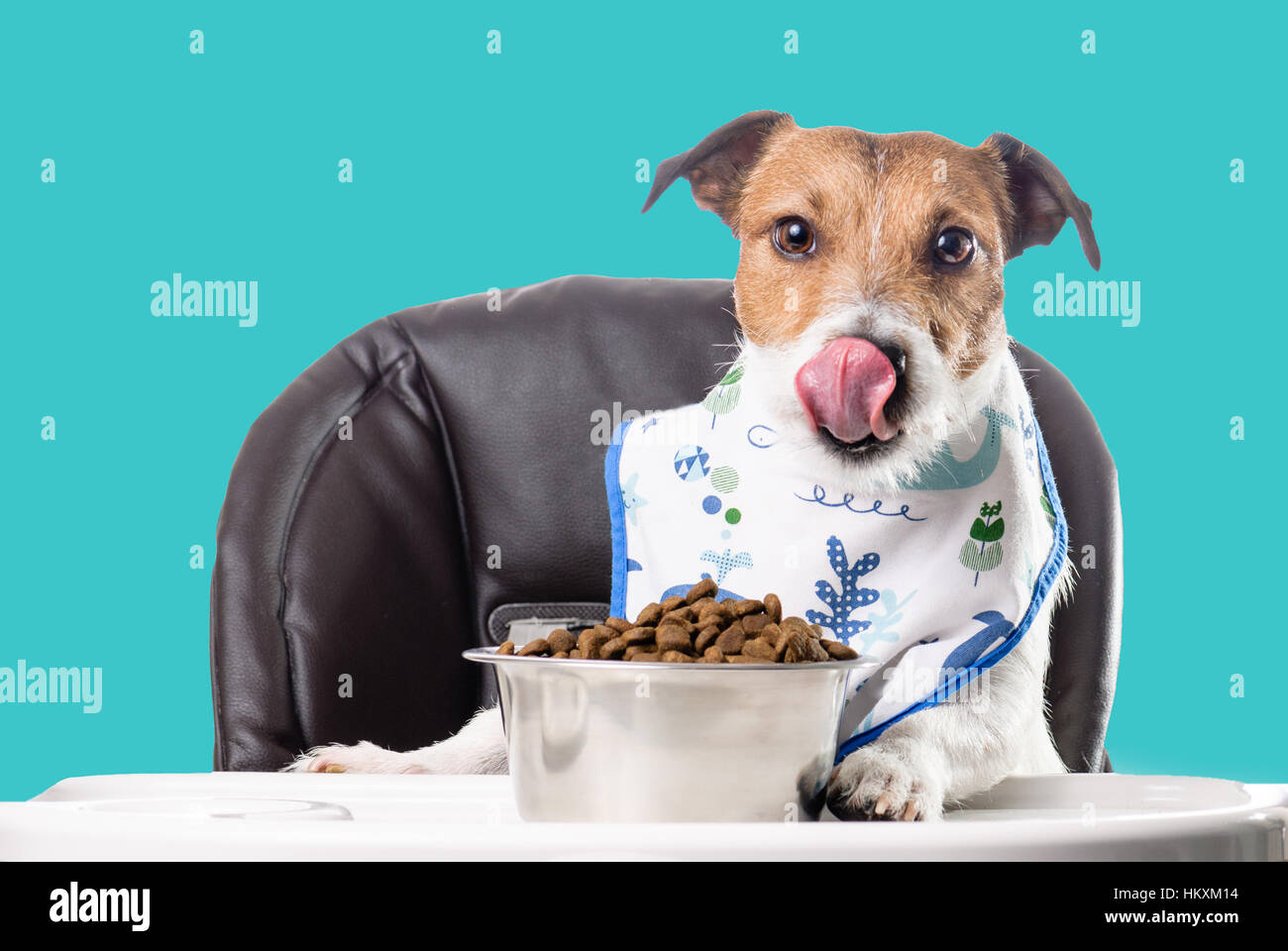 Licking bowl hires stock photography and images Alamy