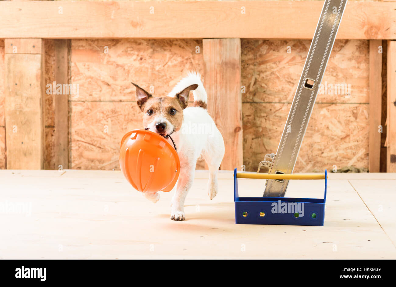 Humor concept of safety precaution at construction site Stock Photo