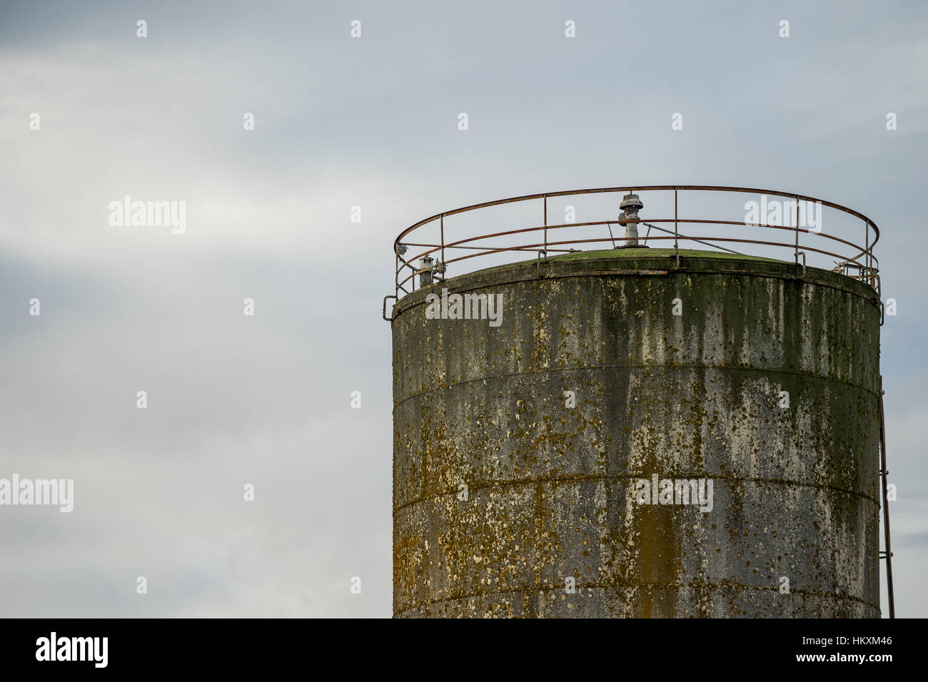 Industrial silos. Tall and with external staircase Stock Photo Alamy