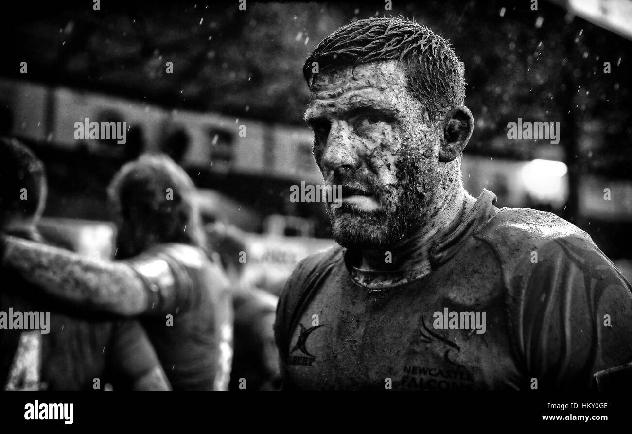 Newcastle Falcons Mark Wilson after the Anglo-Welsh Cup match at Rodney Parade, Newport. PRESS ASSOCIATION Photo. Picture date: Sunday January 29, 2017. See PA story RUGBYU Newport. Photo credit should read: David Davies/PA Wire. RESTRICTIONS: Editorial use only. No commercial use. Stock Photo