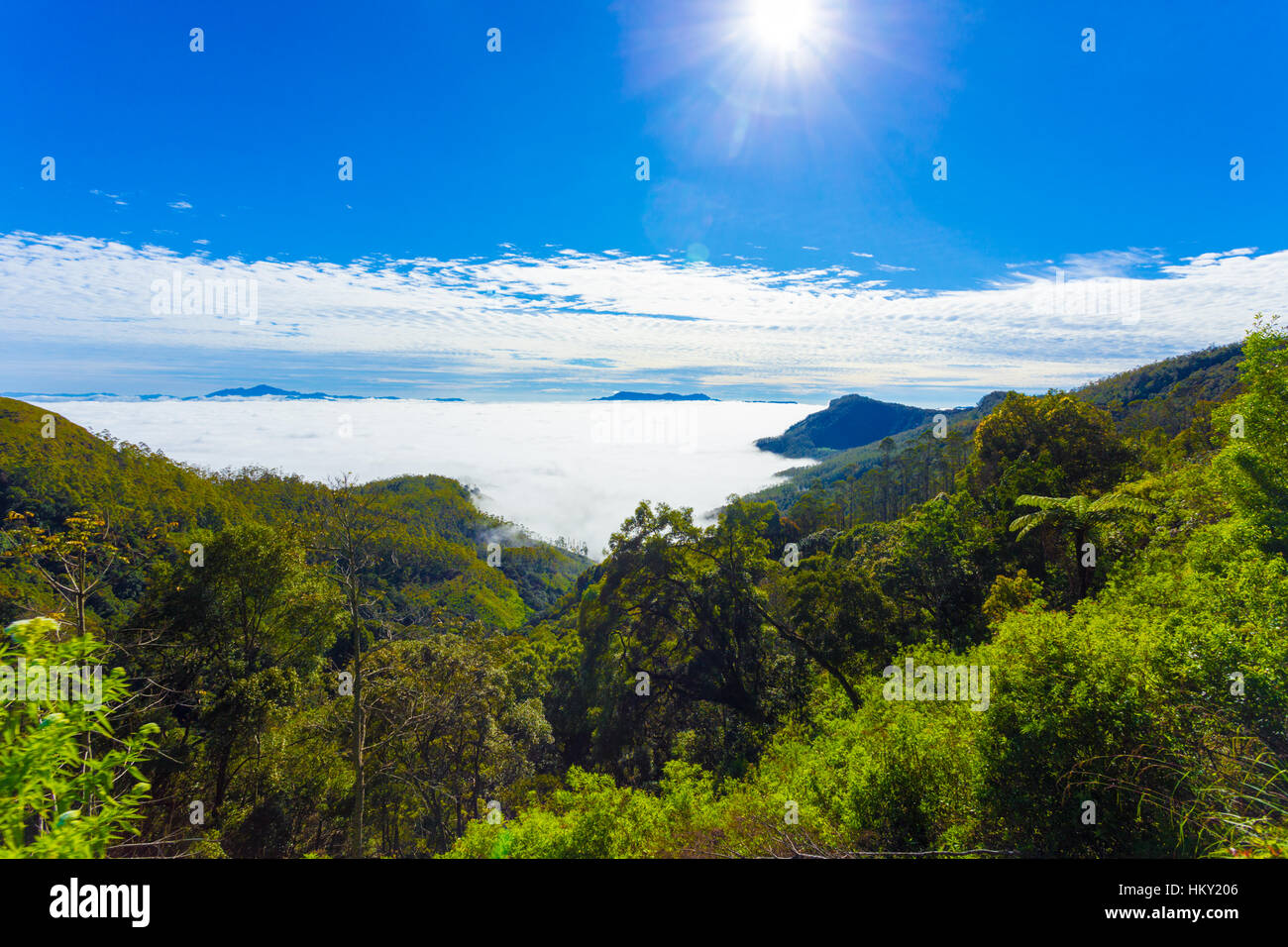 A sea of clouds blankets the valley below seen from above in the mountains of hill country in Haputale, Sri Lanka. Horizontal Stock Photo