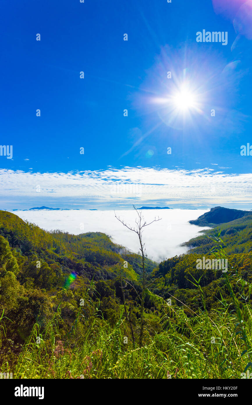 A sea of clouds blankets the valley below seen from above in the mountains of hill country in Haputale, Sri Lanka. Vertical Stock Photo