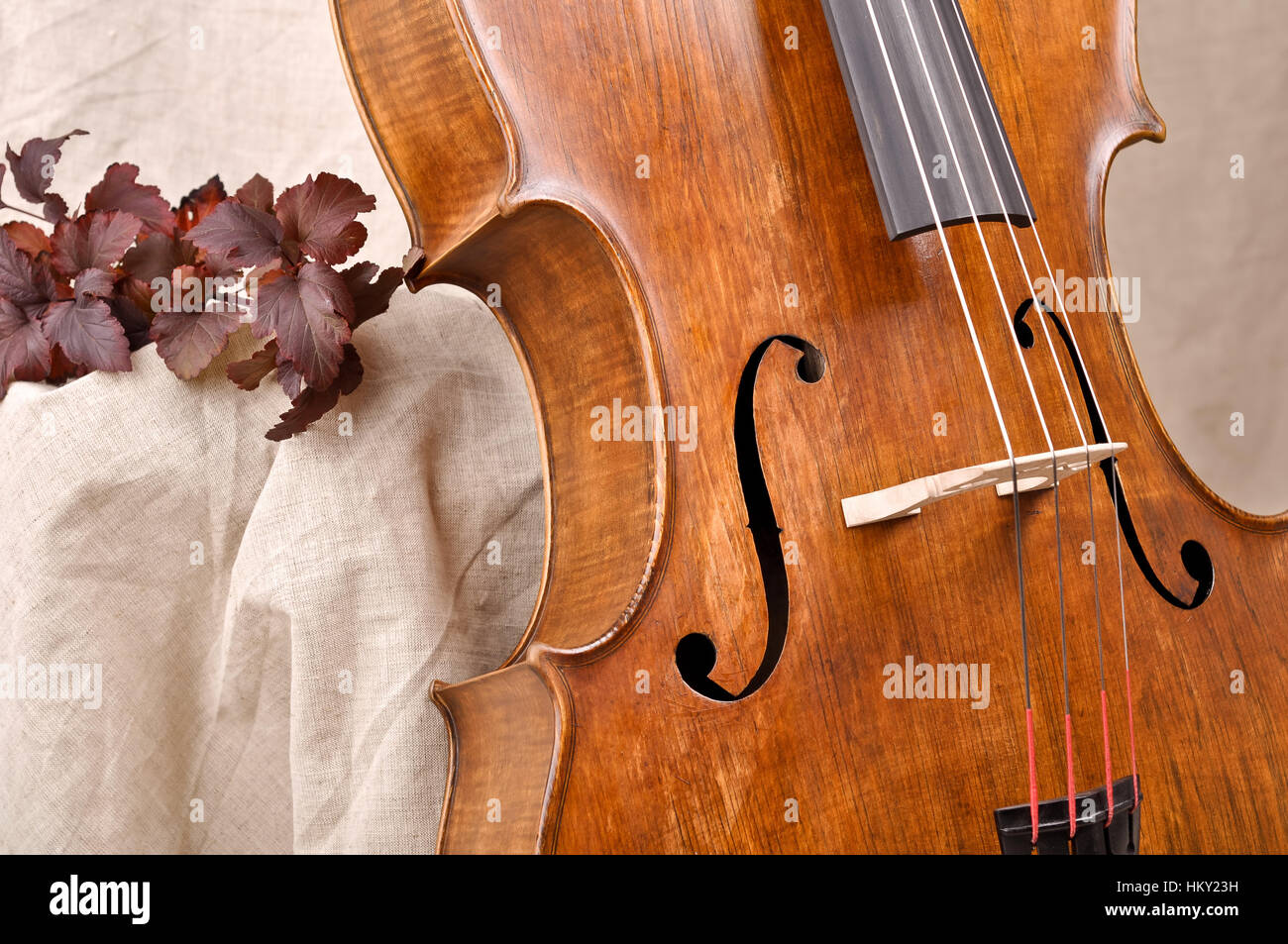 Detail of the cello Stock Photo