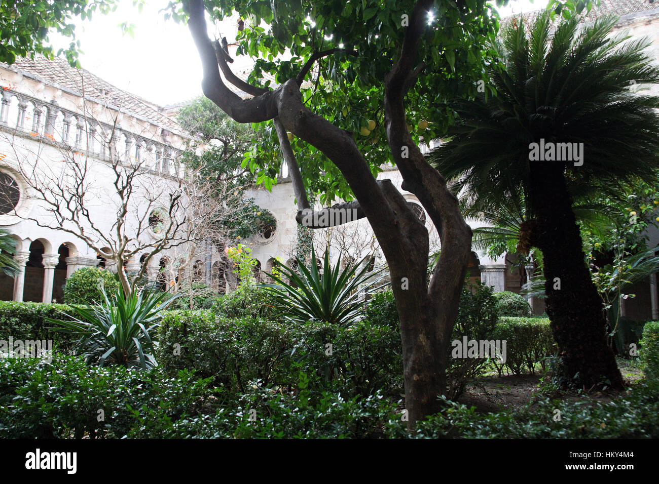 Franciscan monastery Dubrovnik,yard and garden,Croatia,Europe,2 Stock Photo