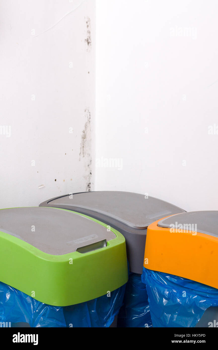 Trash bins for selective collection and mold problem on wall Stock