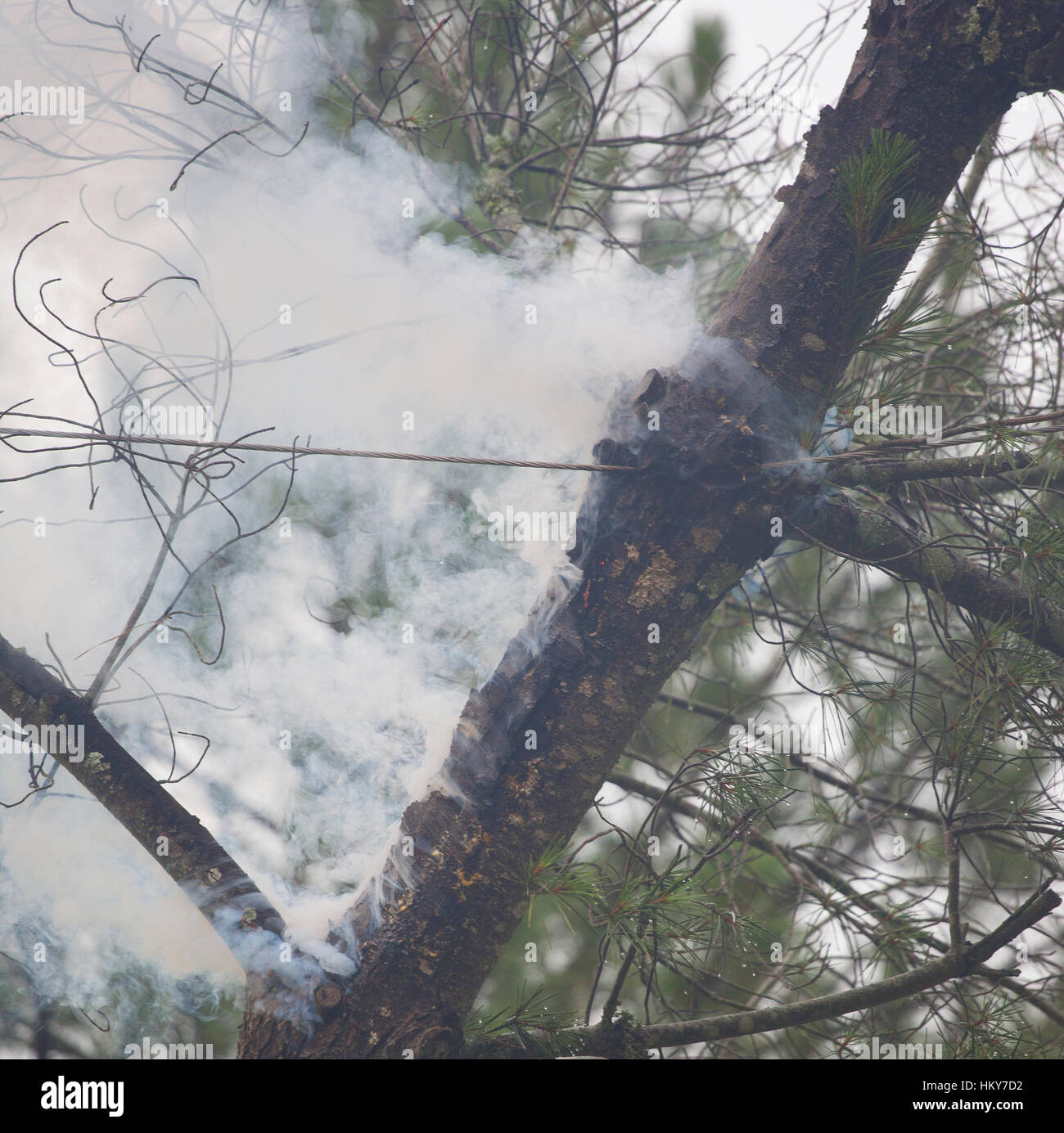 Catch fire hires stock photography and images Alamy