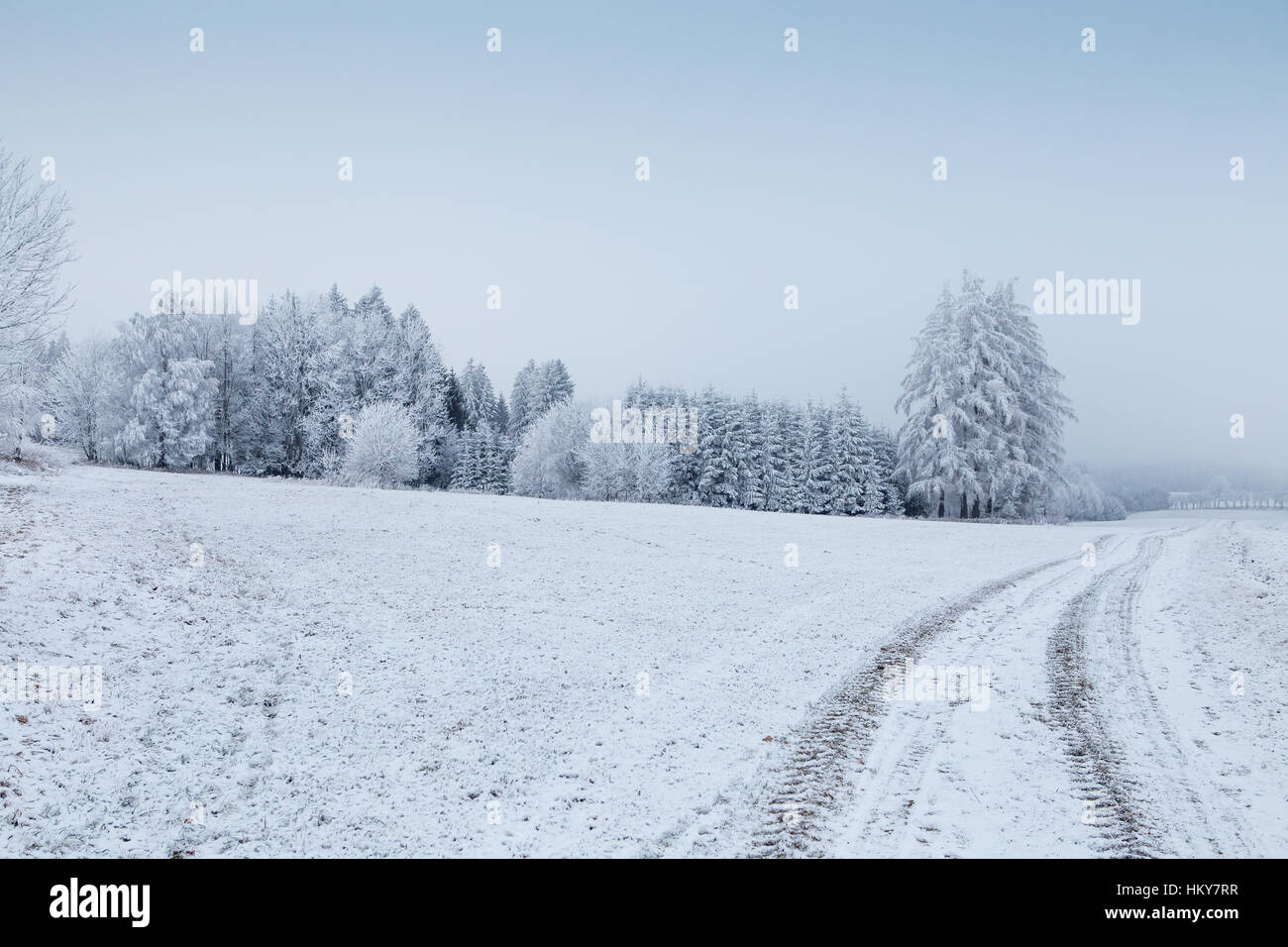 Winter landscape with frozen trees in field and blue sky Stock Photo ...