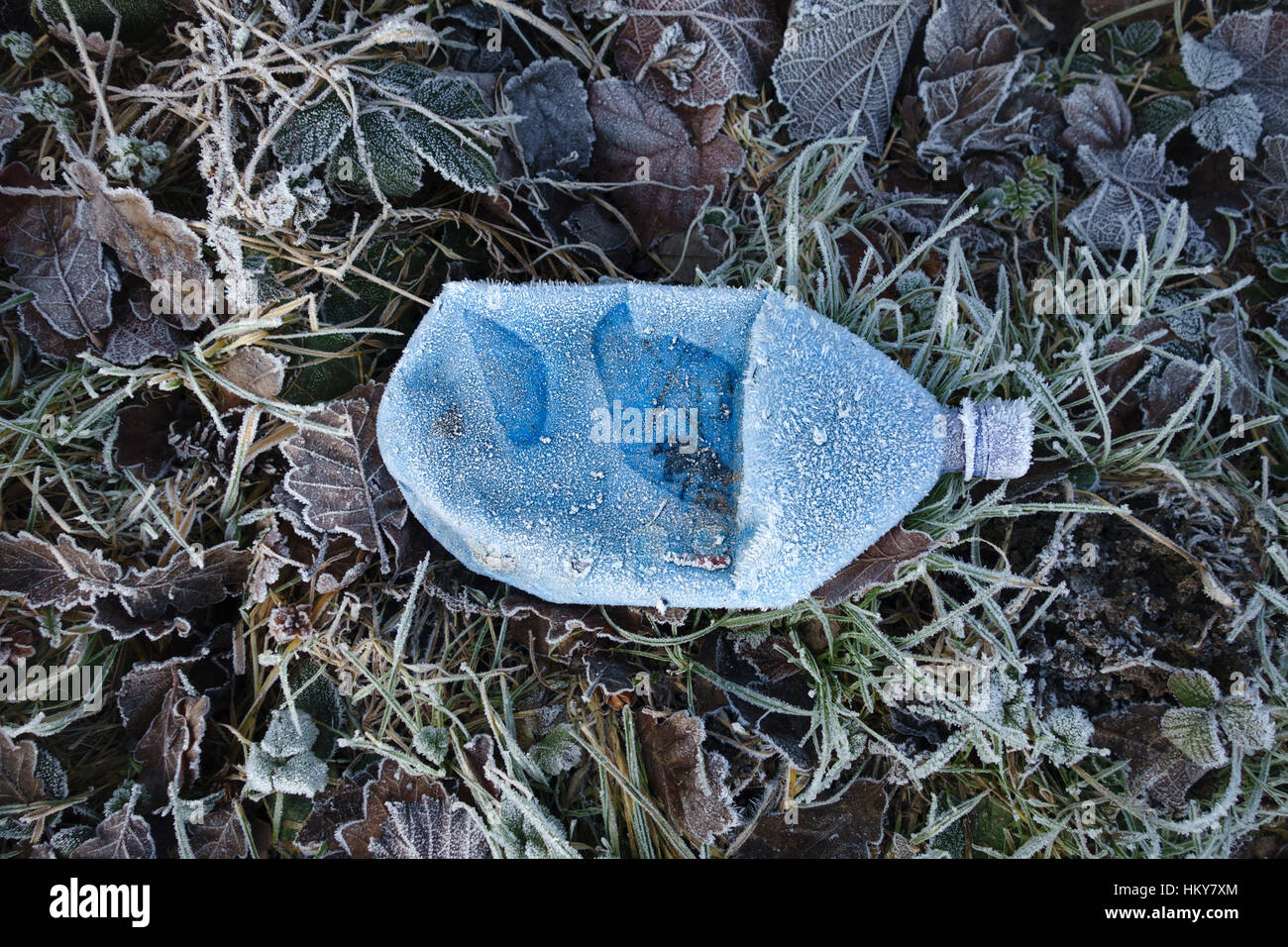 A blue plastic drinks bottle covered in frost on a roadside verge in winter Stock Photo