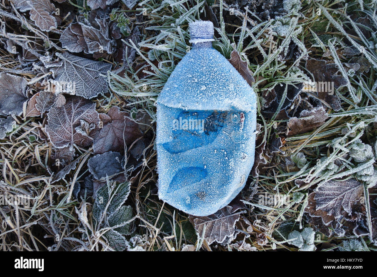 A blue plastic drinks bottle covered in frost on a roadside verge in winter Stock Photo