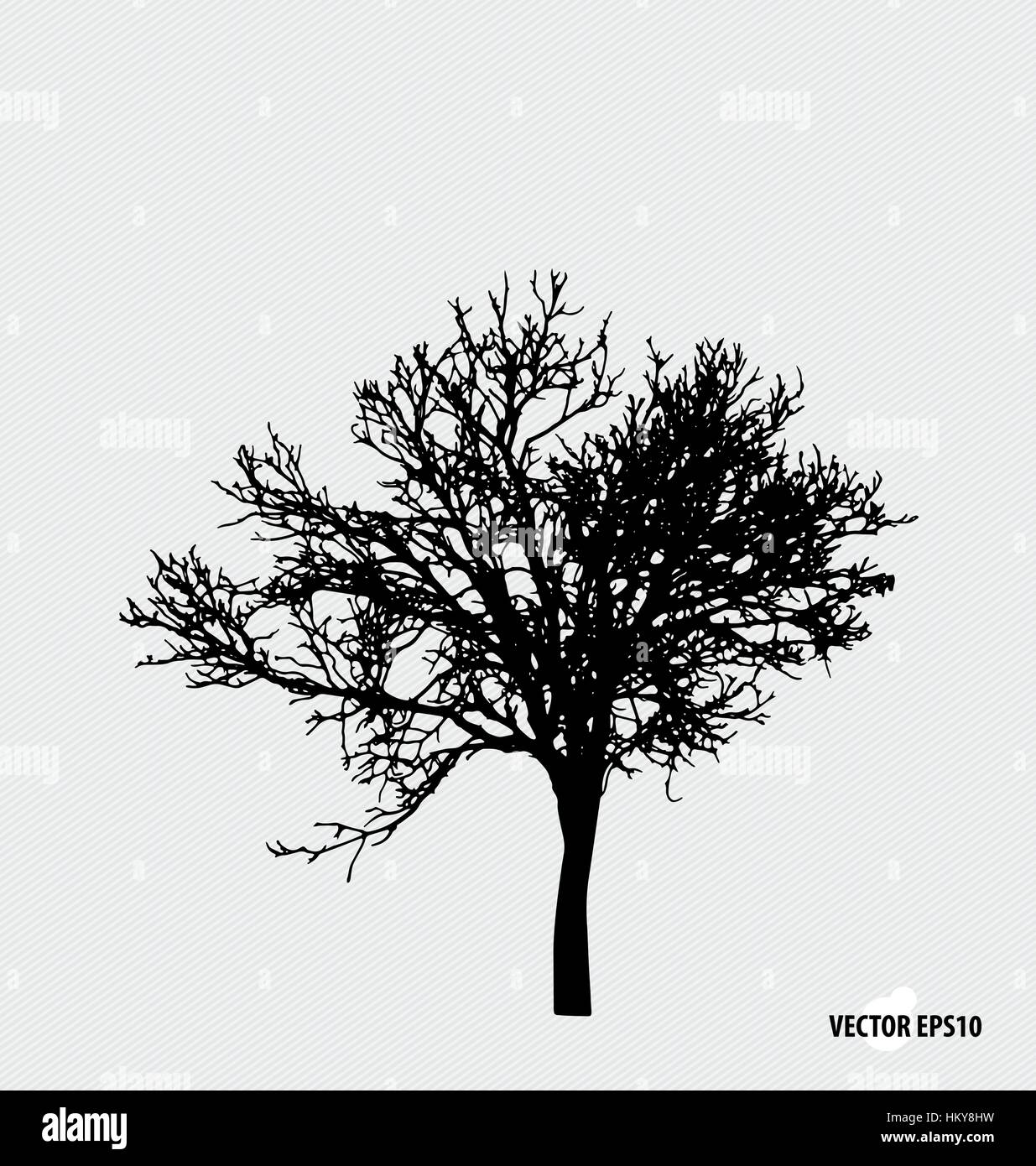 Tree silhouettes. Vector illustration Stock Vector Image & Art - Alamy
