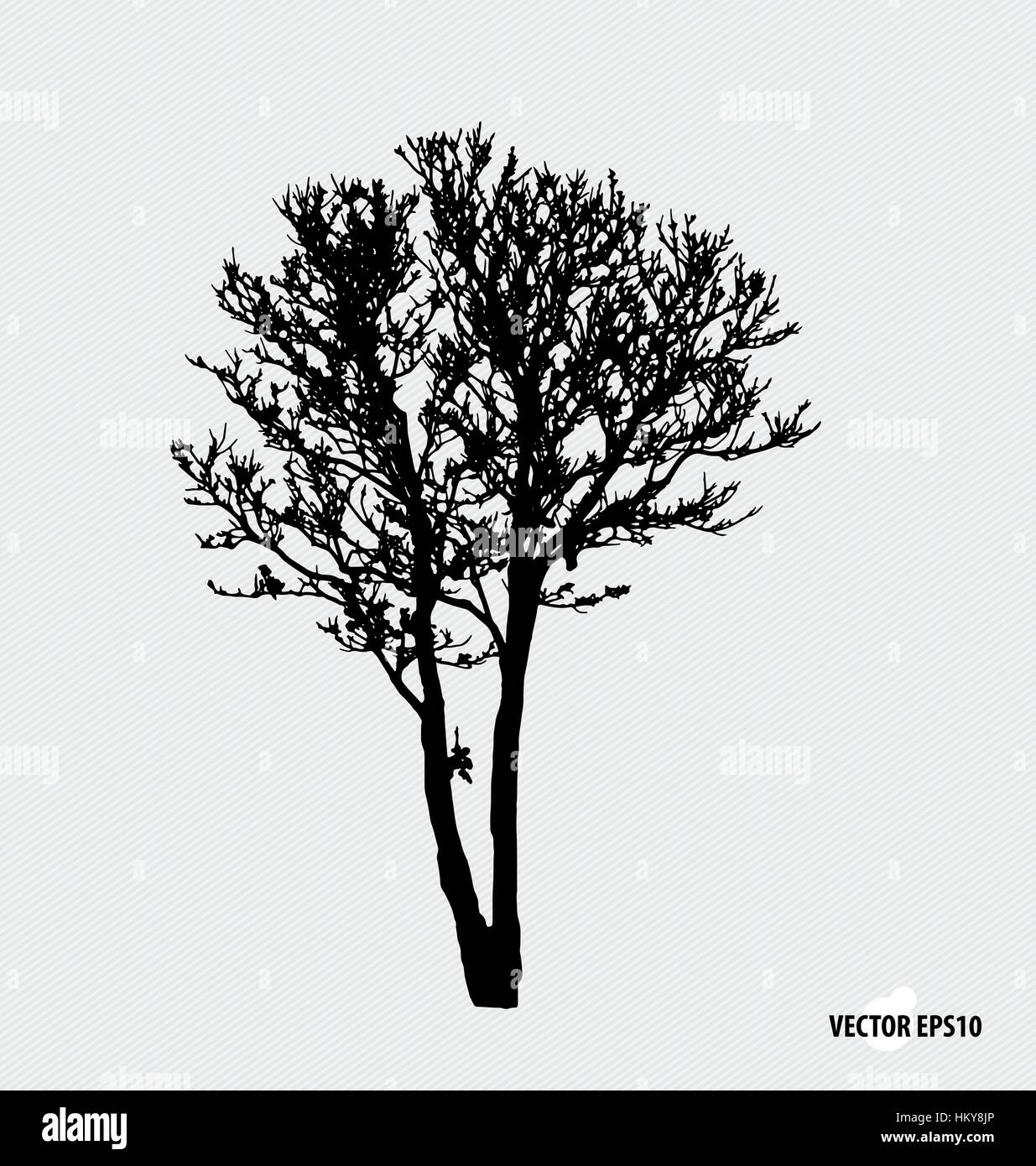 Tree silhouettes. Vector illustration Stock Vector Image & Art - Alamy