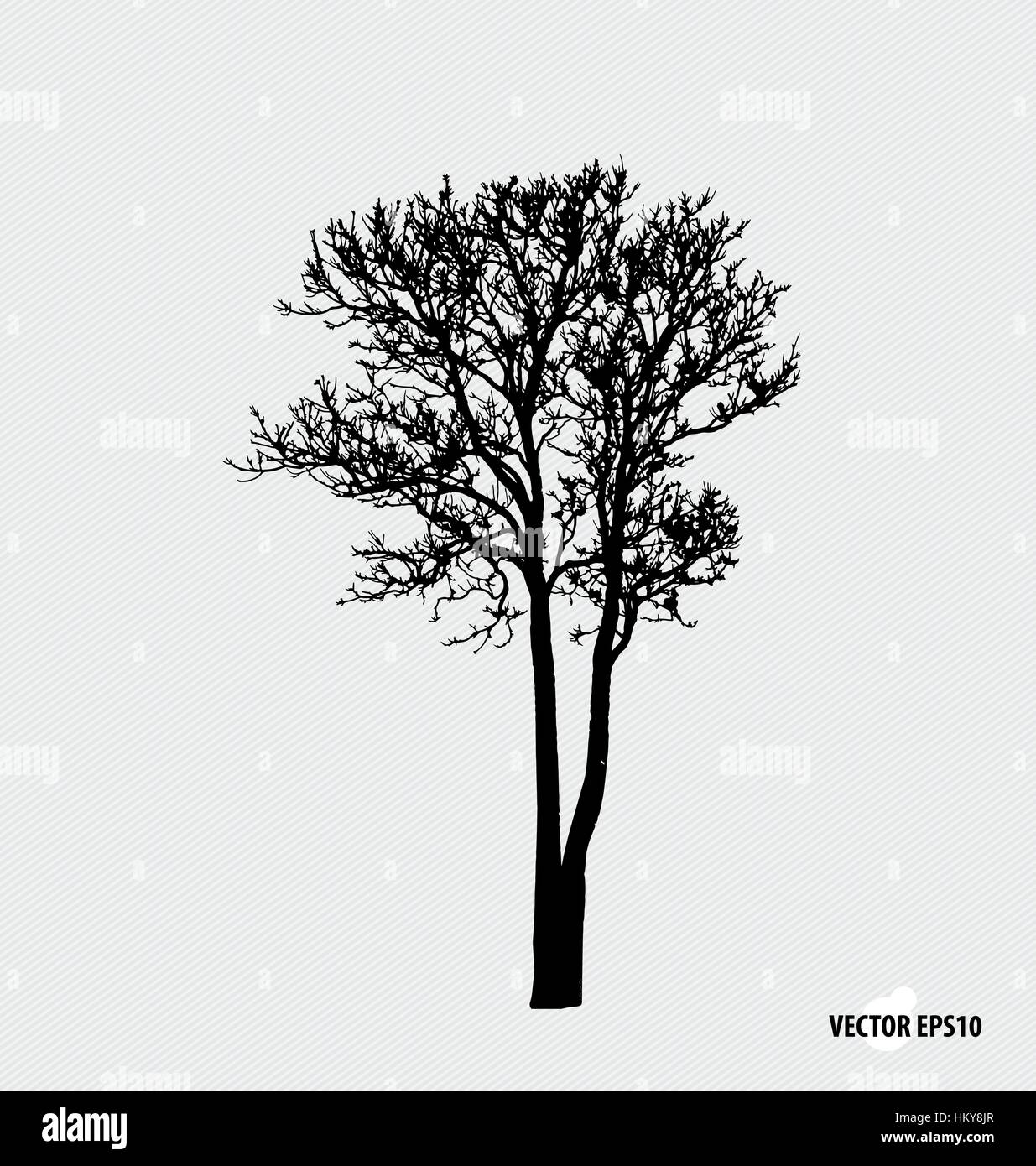 Tree silhouettes. Vector illustration Stock Vector Image & Art - Alamy