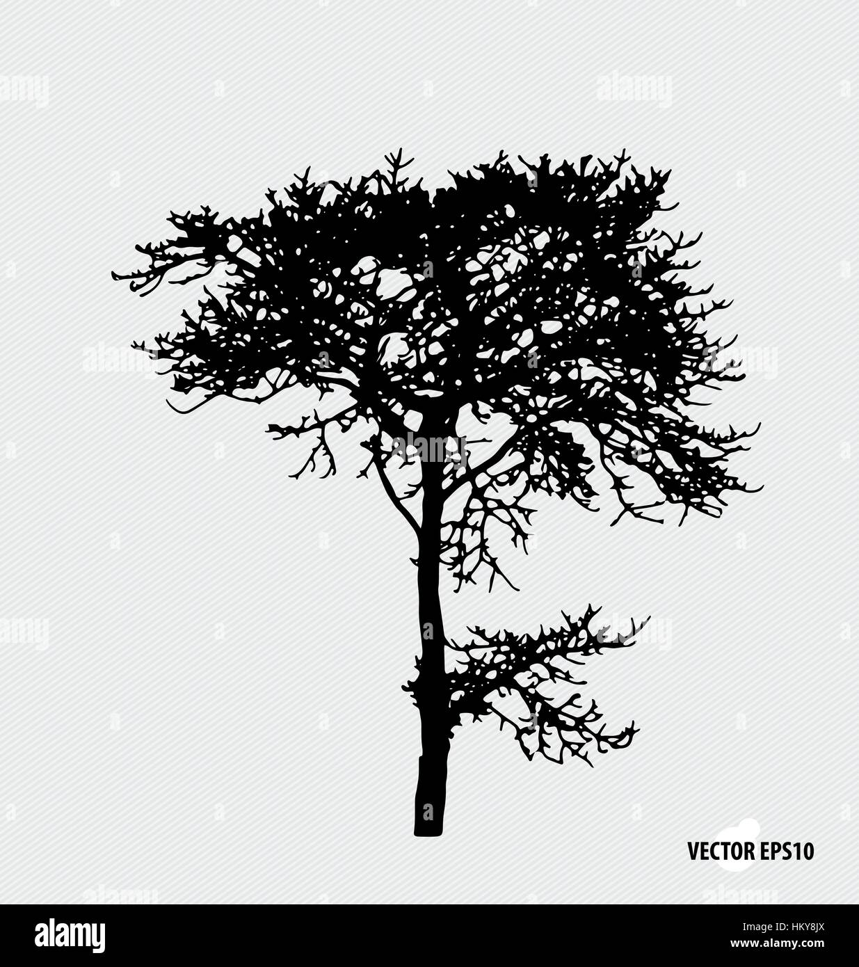 Tree silhouettes. Vector illustration Stock Vector Image & Art - Alamy