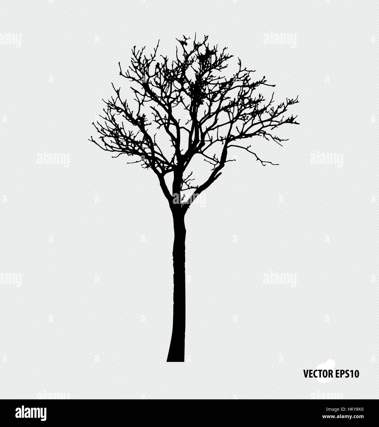 Tree silhouettes. Vector illustration Stock Vector Image & Art - Alamy