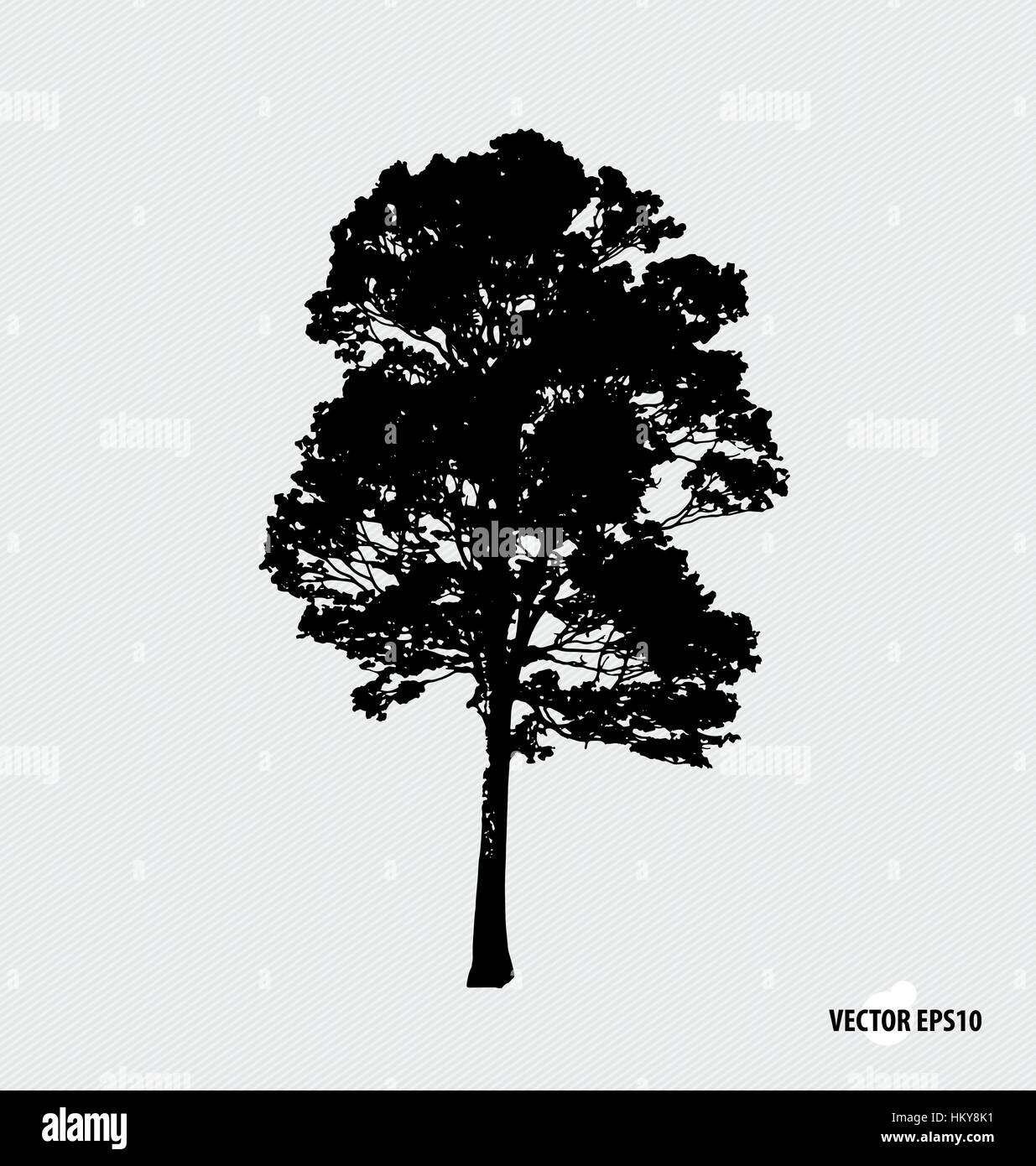 Tree silhouettes. Vector illustration Stock Vector Image & Art - Alamy