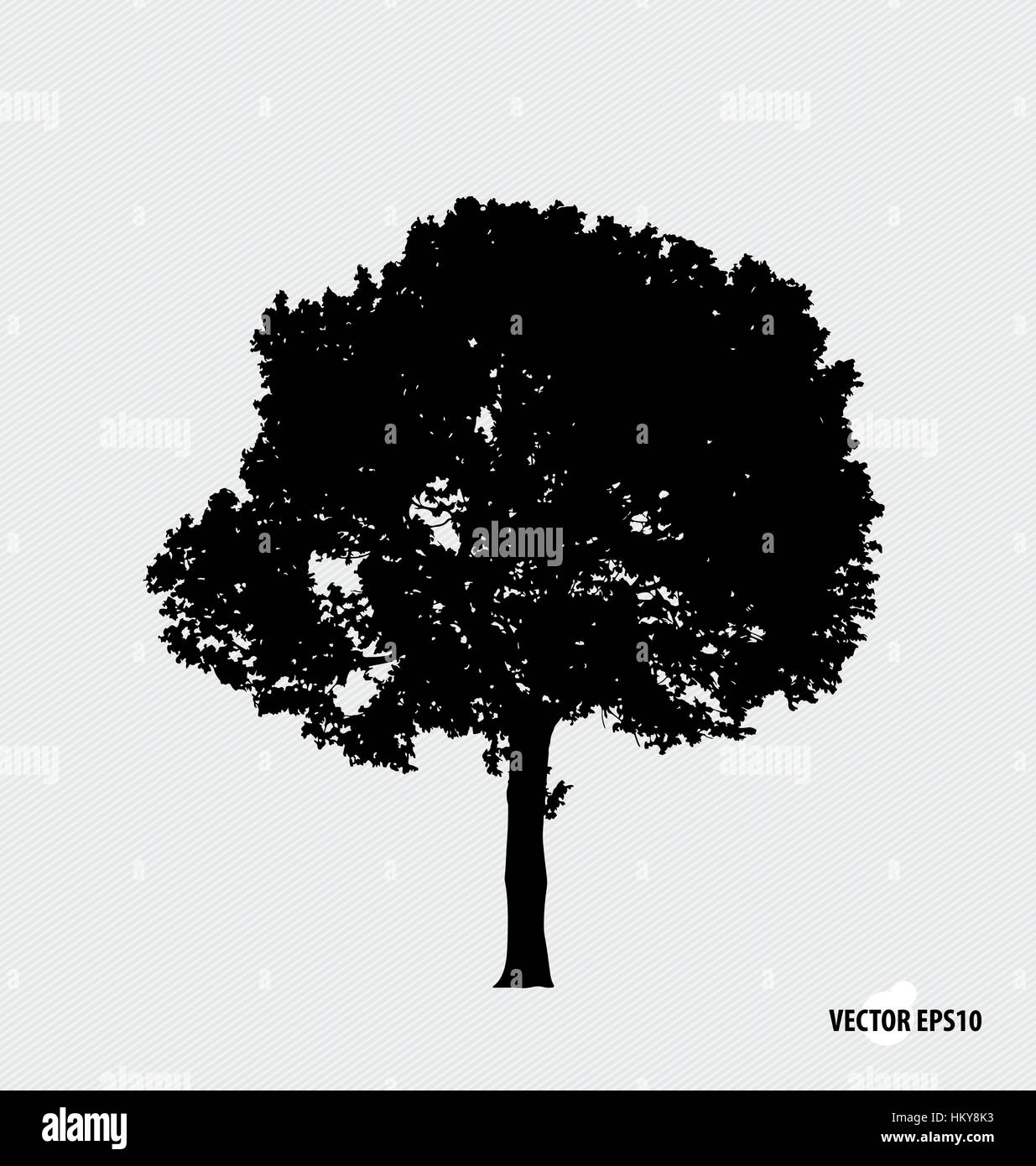 Tree silhouettes. Vector illustration Stock Vector Image & Art - Alamy