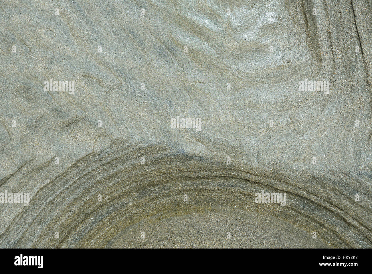 abstract curved lines on ocean wet sand Stock Photo