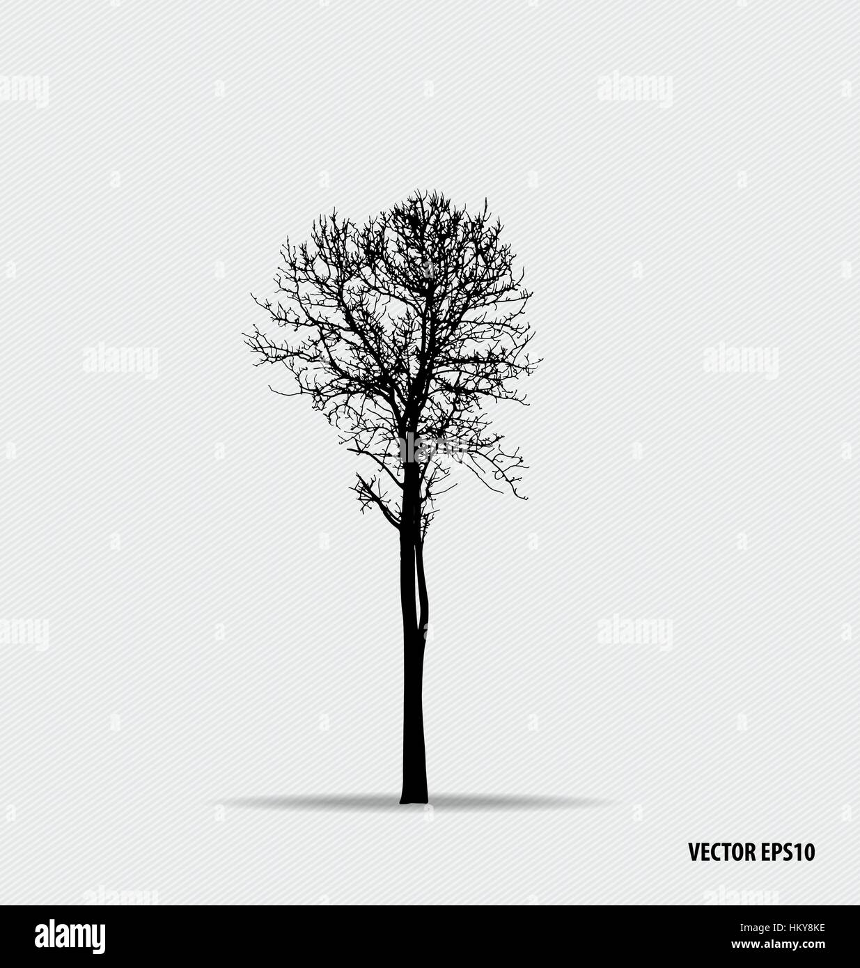 Tree silhouettes. Vector illustration Stock Vector Image & Art - Alamy