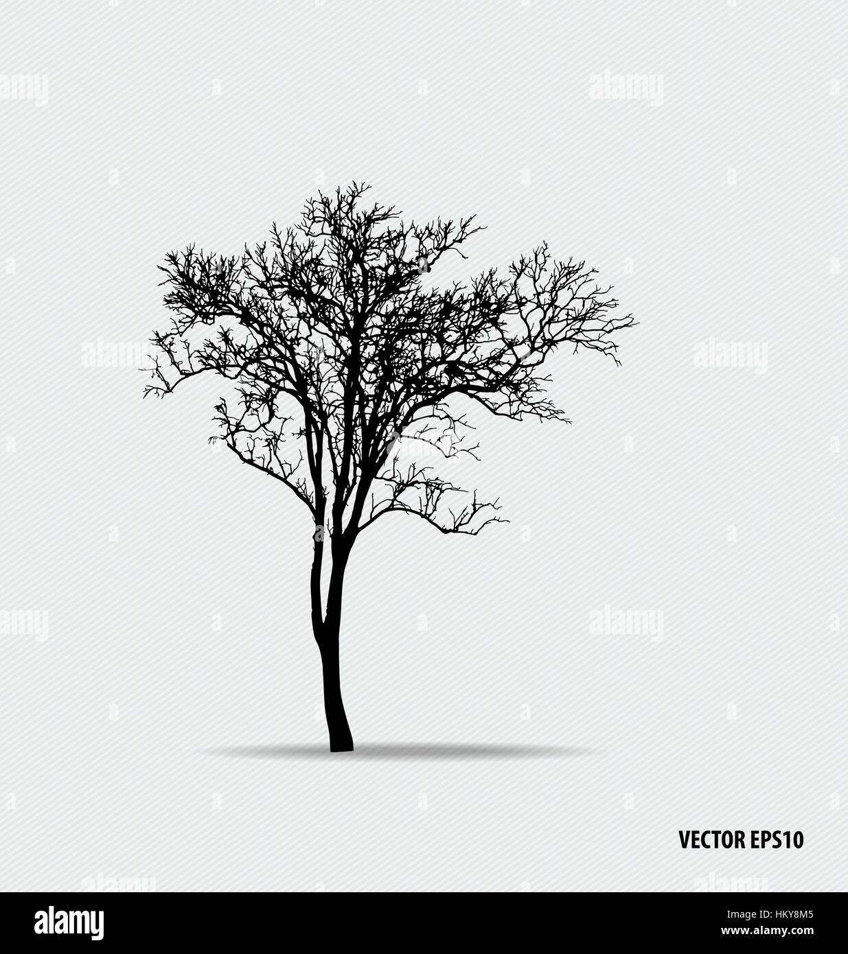 Tree silhouettes. Vector illustration Stock Vector Image & Art - Alamy