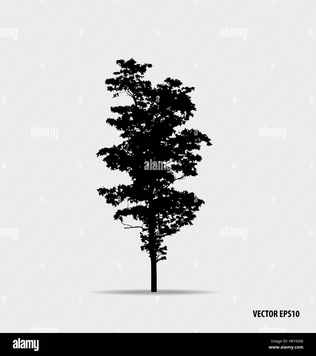Tree silhouettes. Vector illustration Stock Vector Image & Art - Alamy