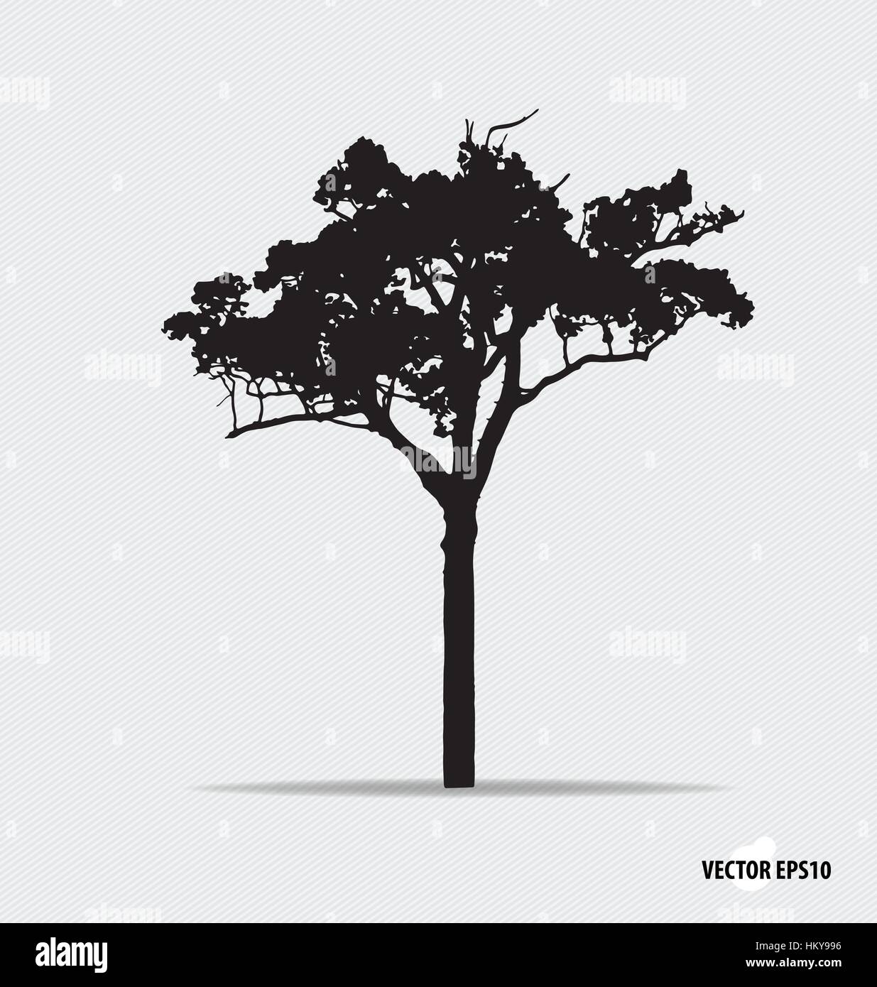 Tree silhouette. Vector illustration Stock Vector Image & Art - Alamy