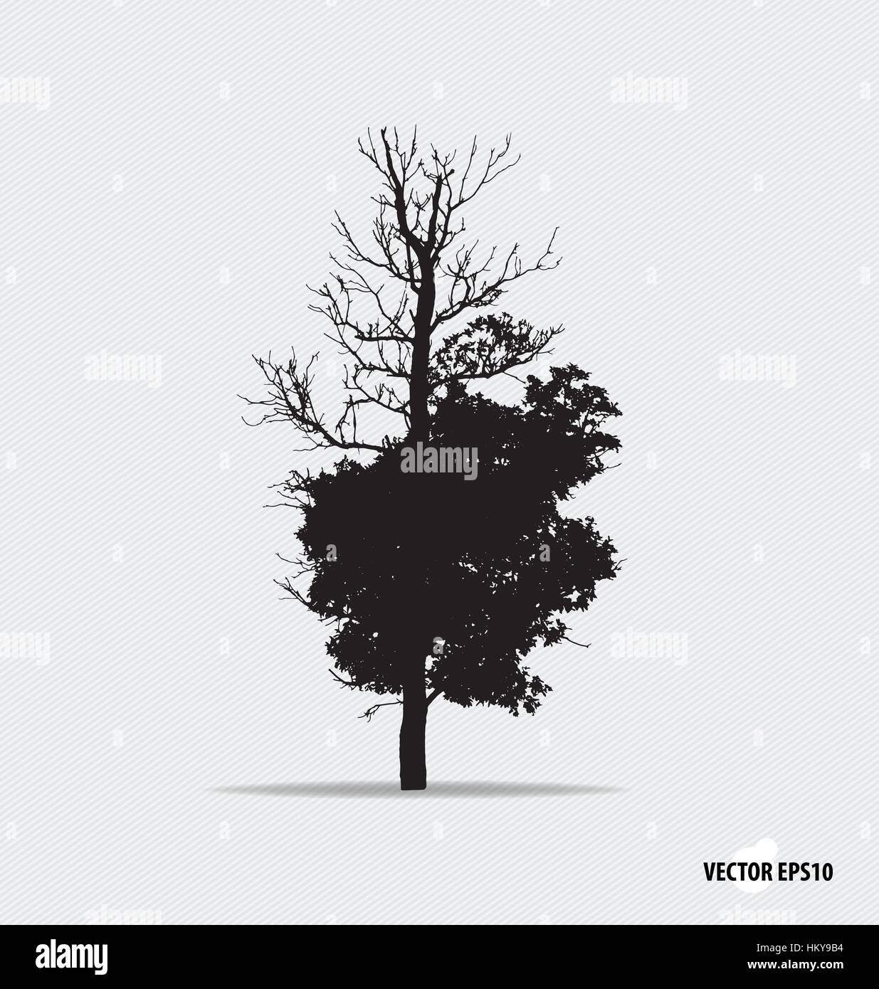 Tree silhouette. Vector illustration Stock Vector Image & Art - Alamy