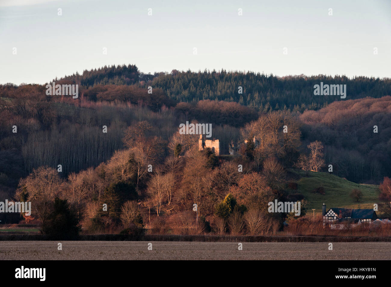 Near Presteigne, Powys, UK. The ruins of medieval Stapleton Castle