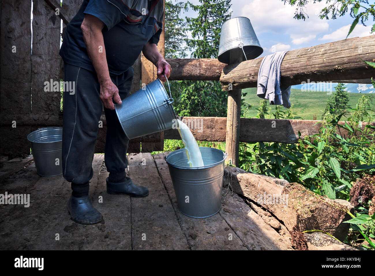 Milk Bucket Stock Photos & Milk Bucket Stock Images Alamy