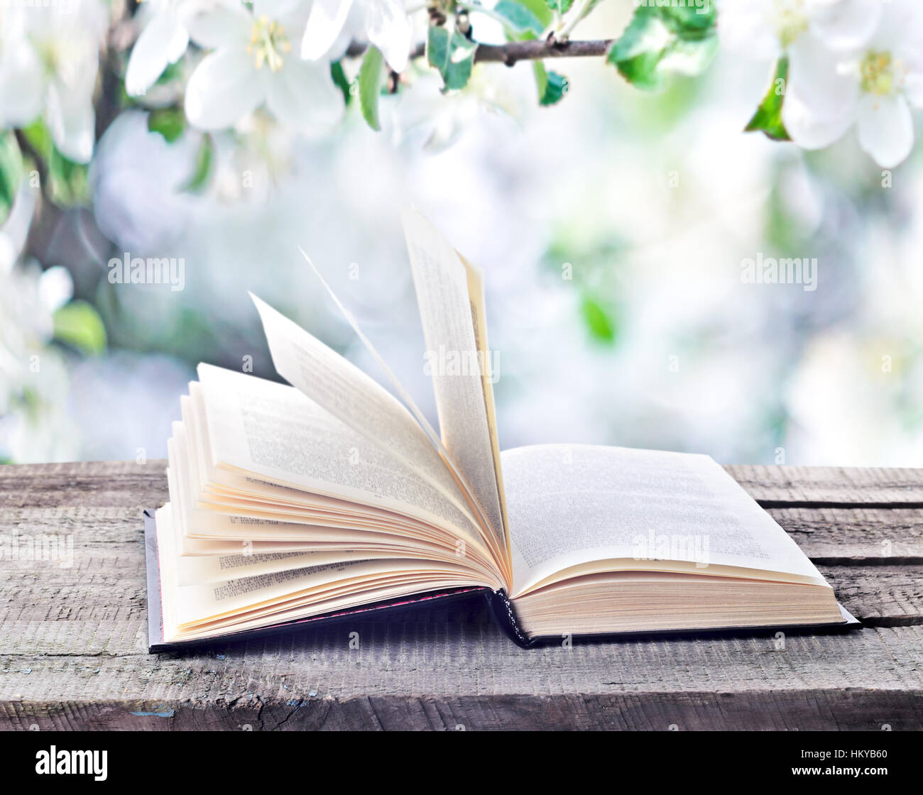 Open book on wooden table outdoors on natural spring or summertime background. Return to spring or summer time. Invitation to study literatures Stock Photo