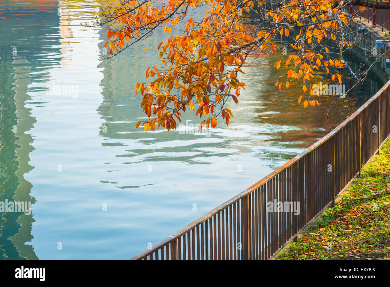 Autumn forest with river Stock Photo - Alamy