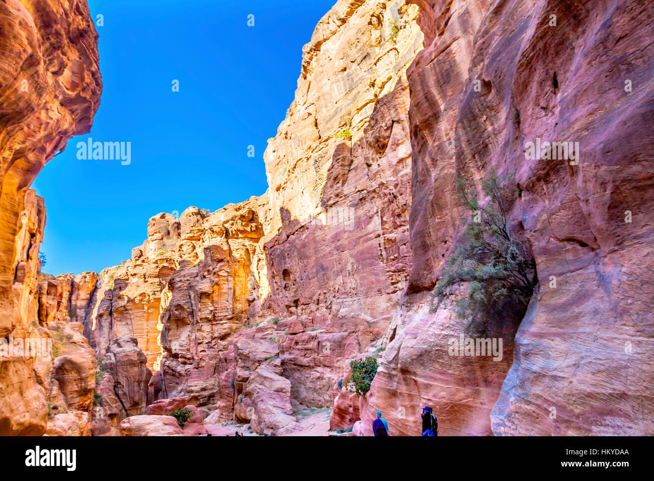 Outer Siq Canyon Hiking To Entrance Into Petra Jordan Petra Jordan.  Colorful Yellow Pink Canyon becomes rose red when sun goes. Stock Photo