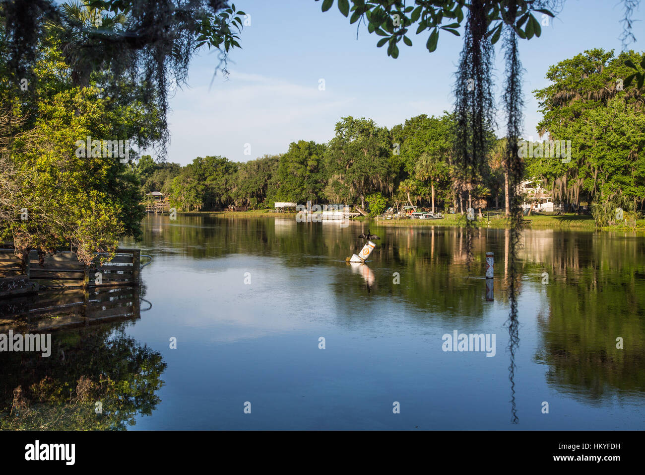 Withlacoochee River at Rainbow Springs State Park Stock Photo Alamy