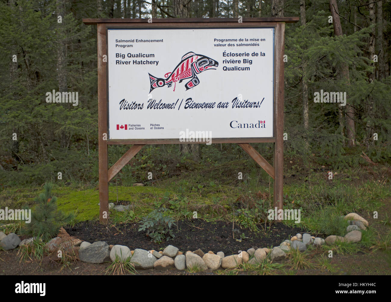 The Big Qualicum River Hatchery on First Nation's People's land on Vancouver Island, BC. Canada