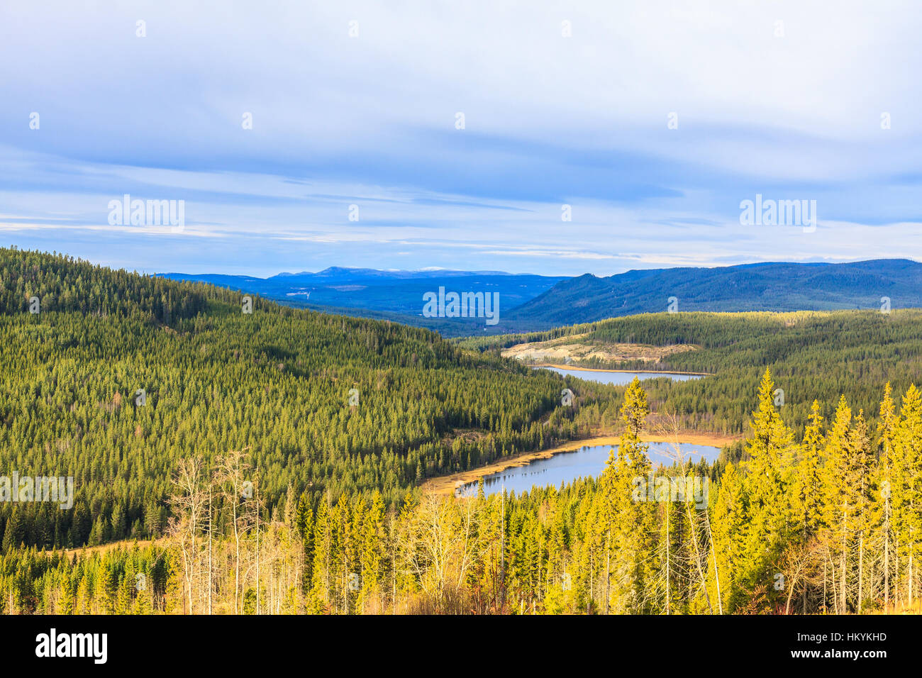 Two small lakes in the middle of the Scandinavian forest Stock Photo